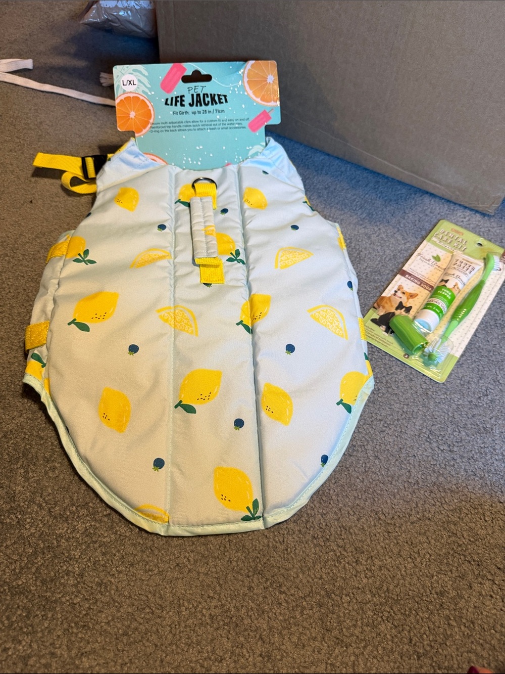 Pet life jacket with dental care kit pet